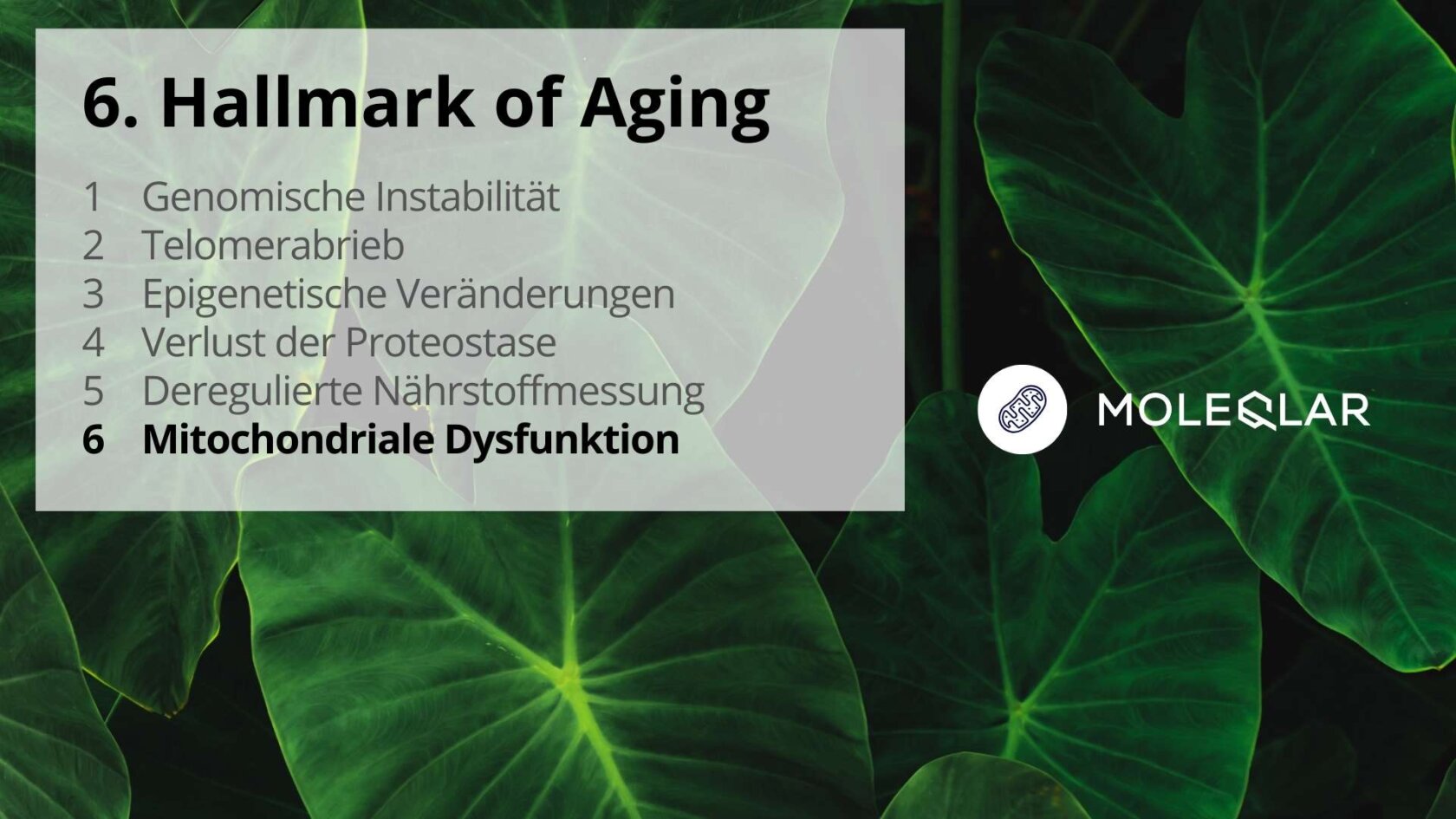 6 Hallmarks Of Aging Mitochondriale Dysfunktion